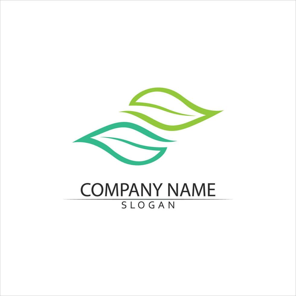 Tree leaf vector and green logo design friendly concept