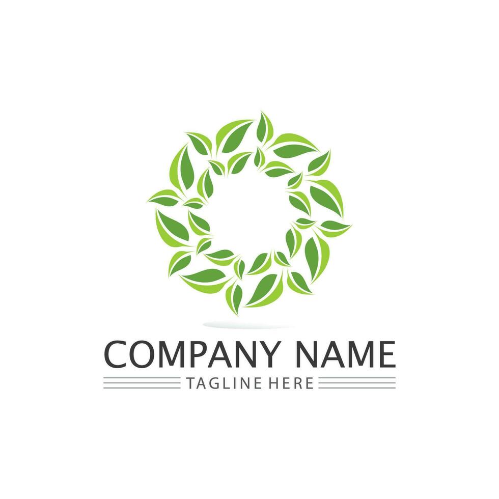 Tree leaf vector and green logo design friendly concept