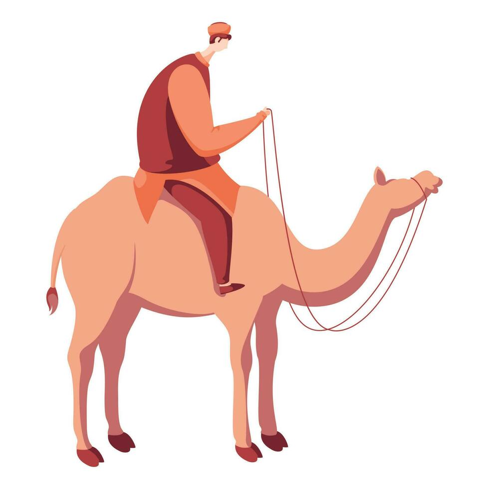 Muslim Man Riding Camel on White Background. vector