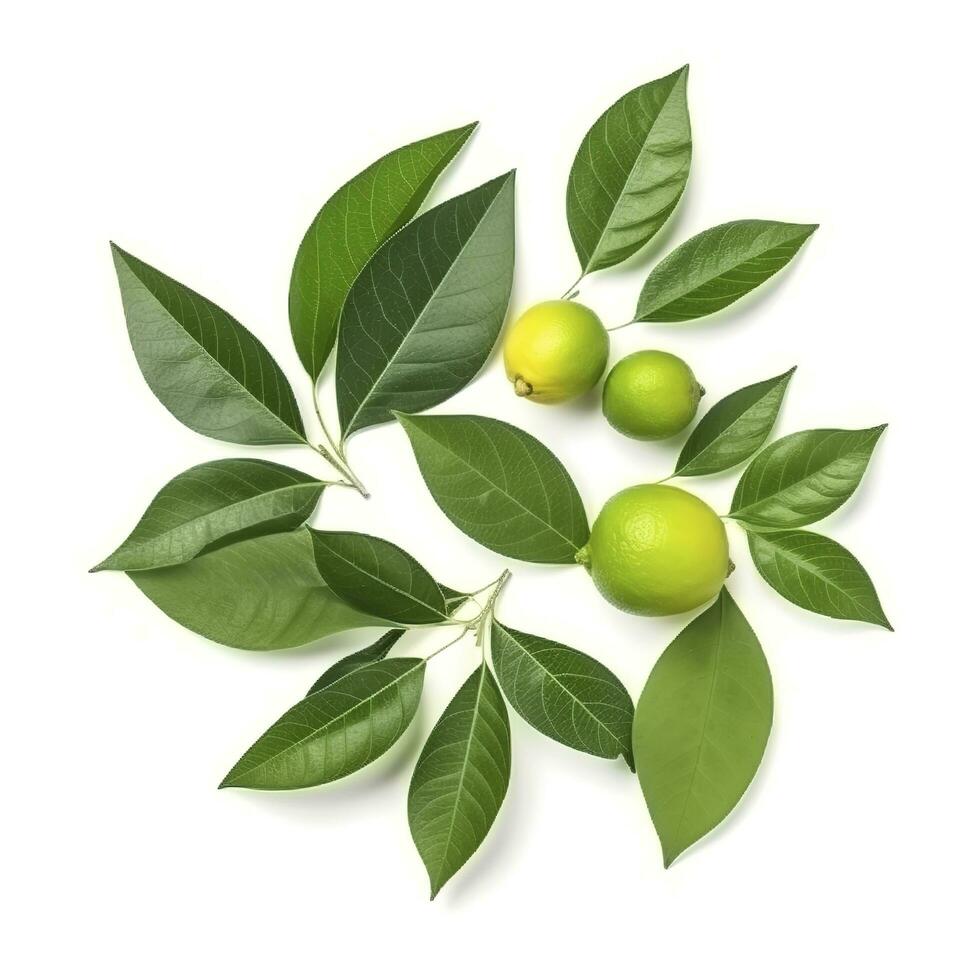 Fresh lemon with green leaves isolated on white background, generate ai photo