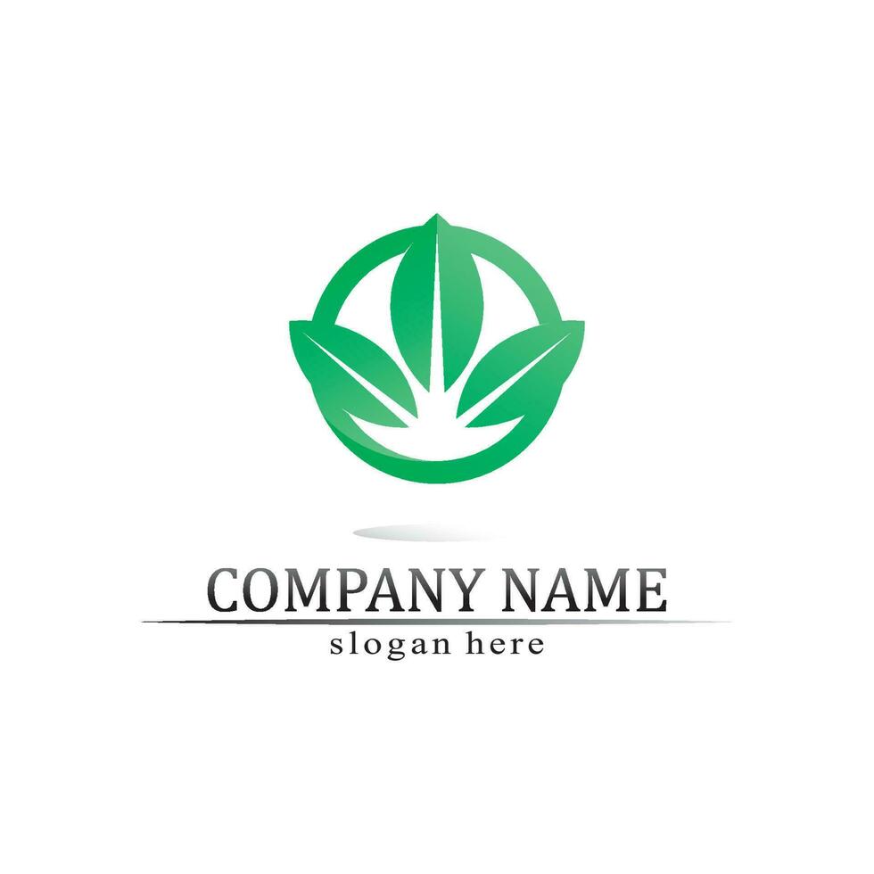 Tree leaf vector and green logo design friendly concept