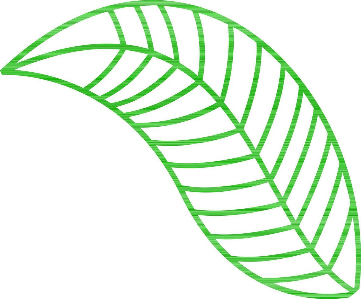 Illustration of green leaf. vector
