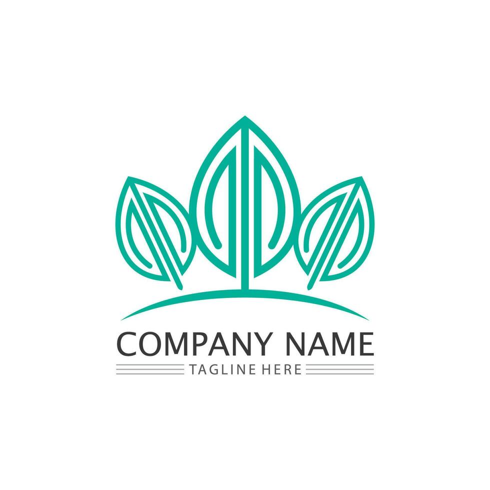 Tree leaf vector and green logo design friendly concept