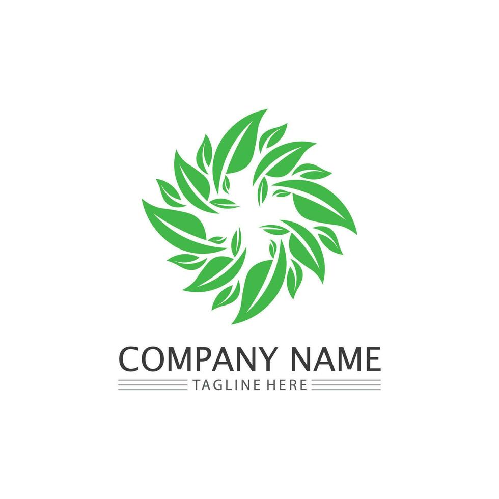 Tree leaf vector and green logo design friendly concept