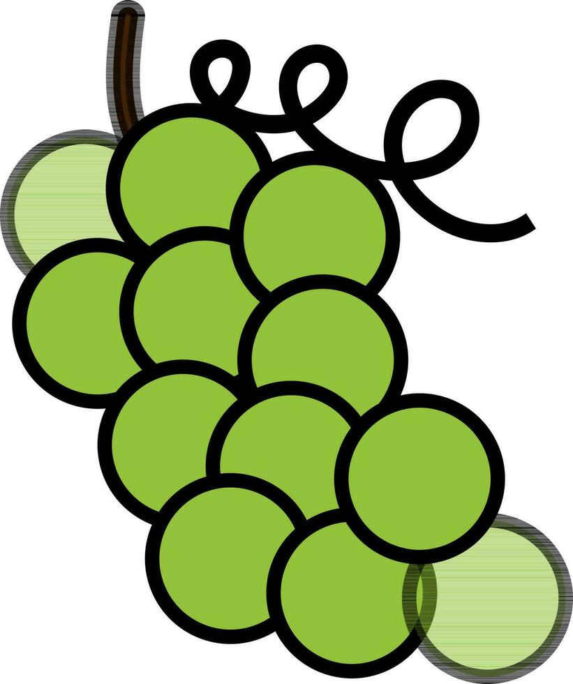 uvas en verde color. vector