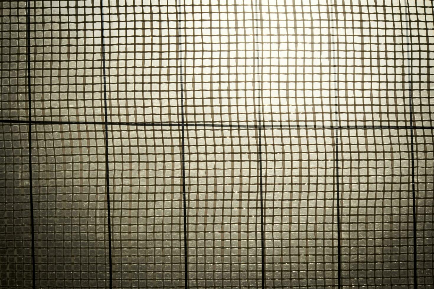 Film on glass of mesh lines square texture on window or door with light flare and vignette in sepia tone photo