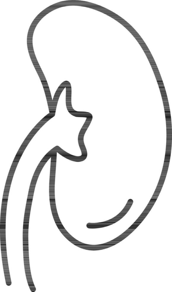 Line art illustration of Kidney symbol. vector