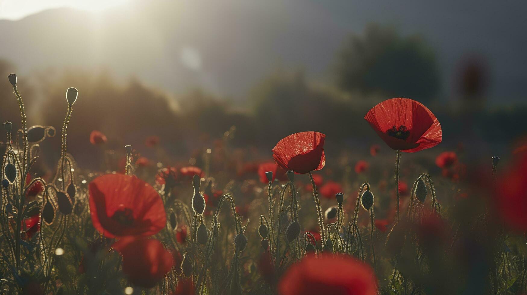 A stunning photo captures the golden hour in a field of radiant red poppies, symbolizing the beauty, resilience, and strength of nature, generate ai