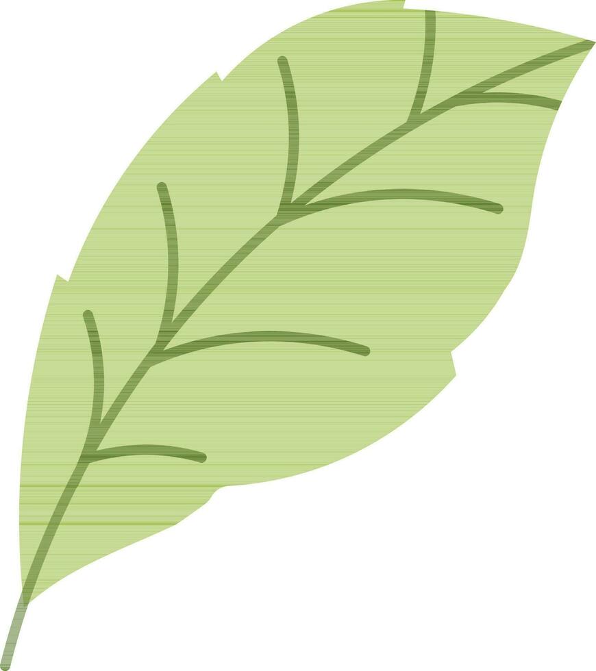 Green Leaf icon or symbol in flat style. vector
