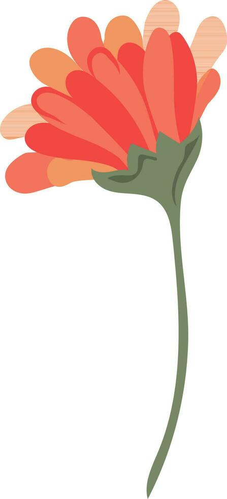 Illustration of a flower in orange and green color. vector
