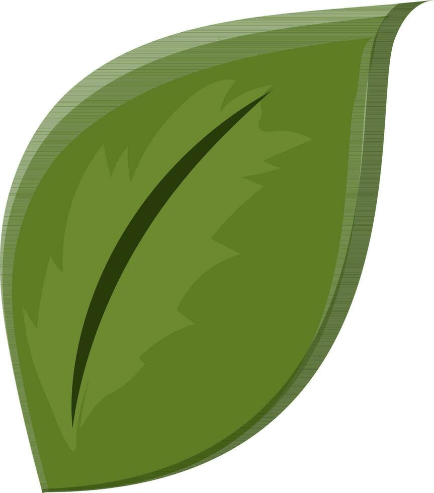 Flat style leaf made by green color. 24370113 Vector Art at Vecteezy