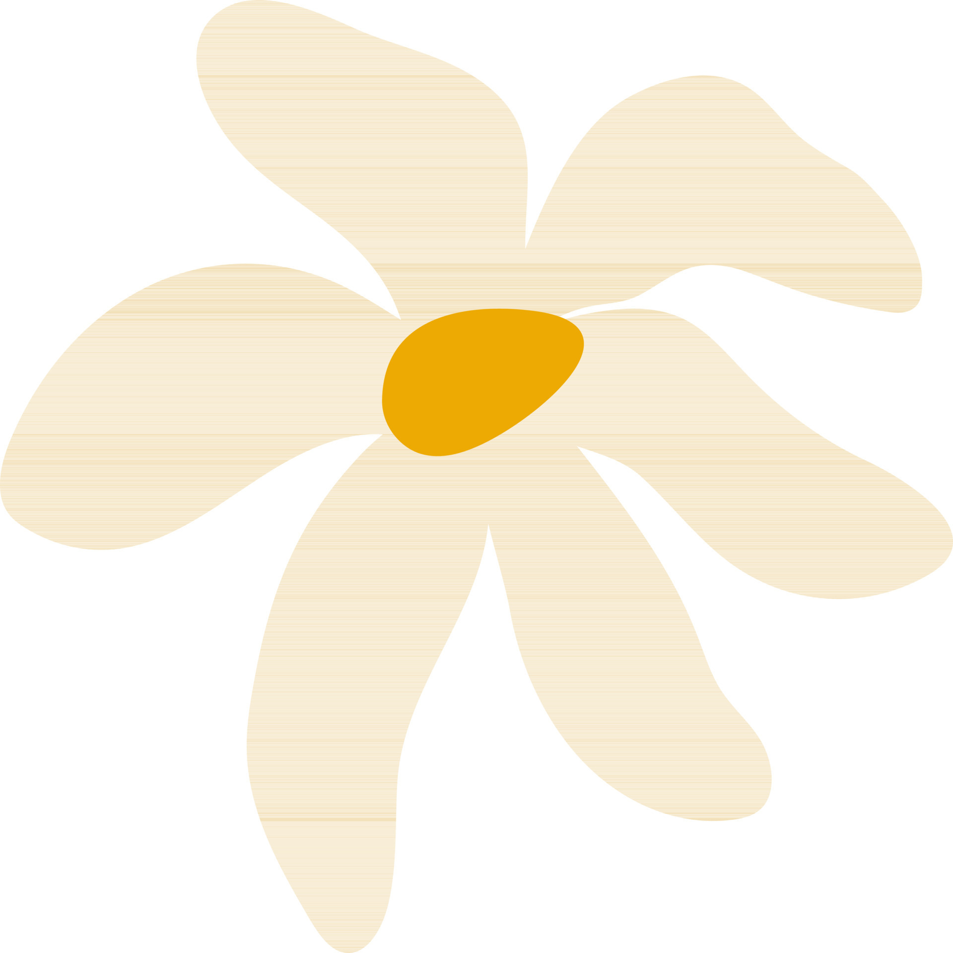Flower on white background. 24370233 Vector Art at Vecteezy