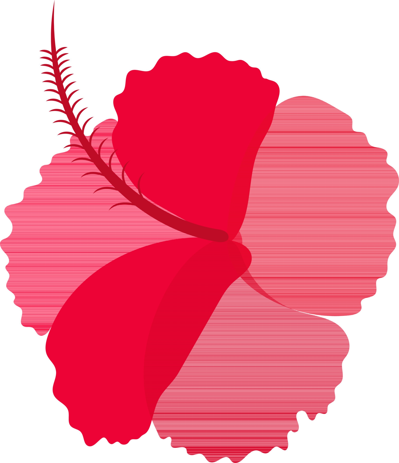 Glossy hibiscus flower on background. 24370286 Vector Art at Vecteezy