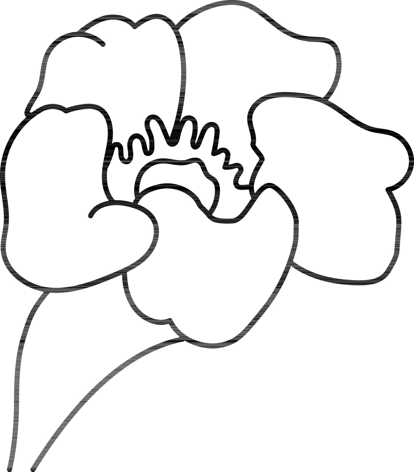 Vector sign or symbol of beautiful flower. 24370381 Vector Art at Vecteezy