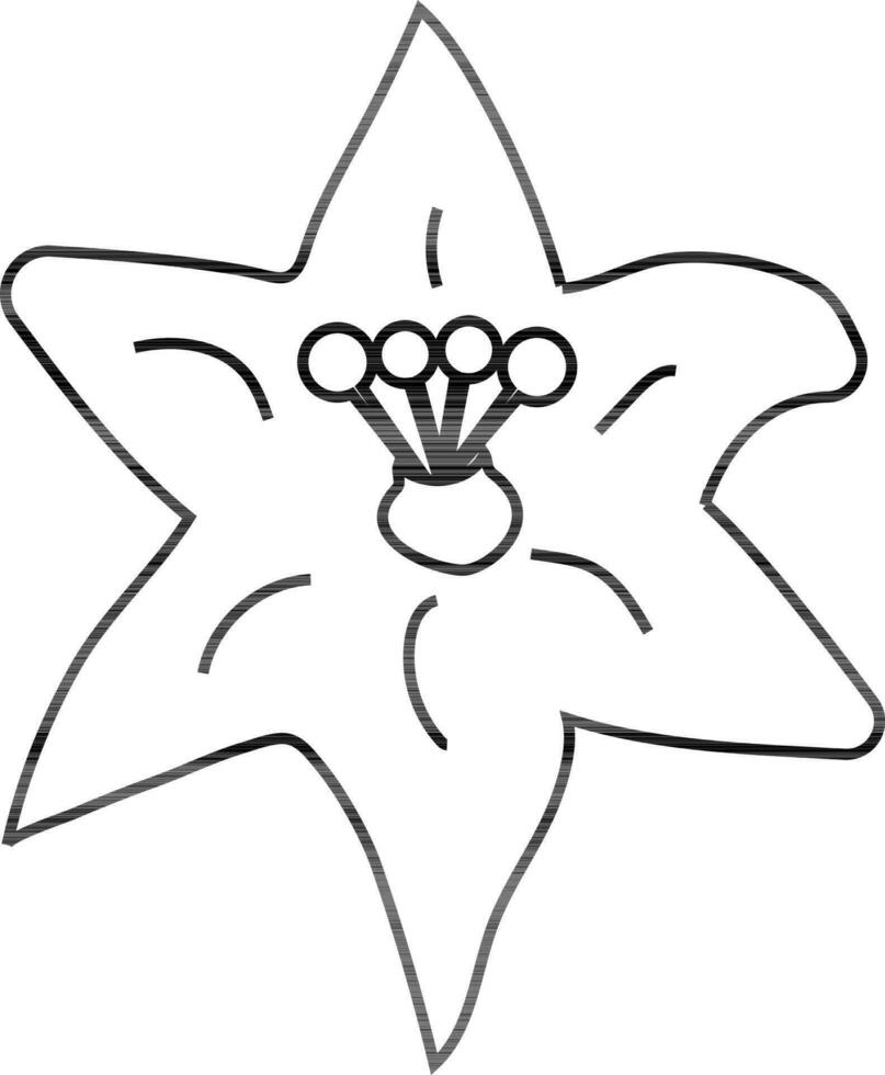 Star shape line art illustration of flower. vector