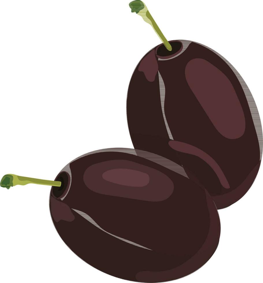 Flat illustration of java plum. vector
