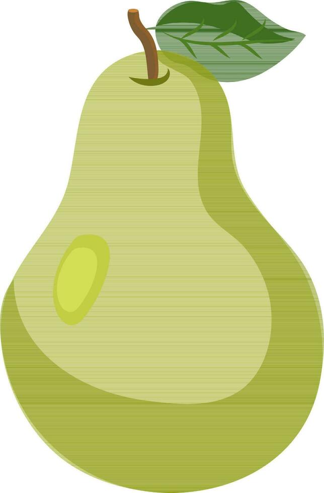 Vector illustration of green pear.