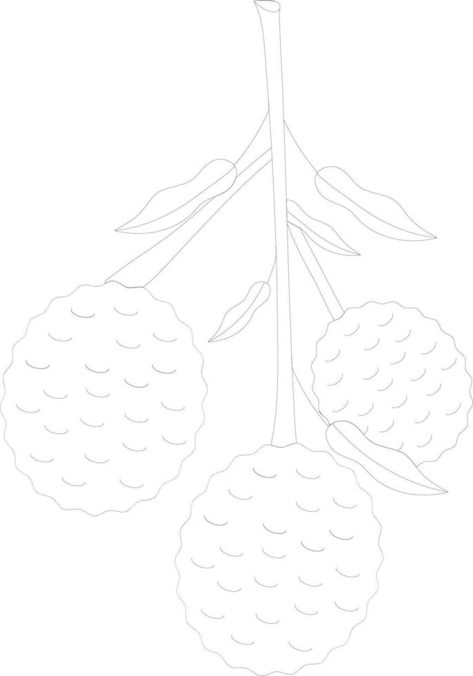 Flat style lychees with leaves in black line art. vector