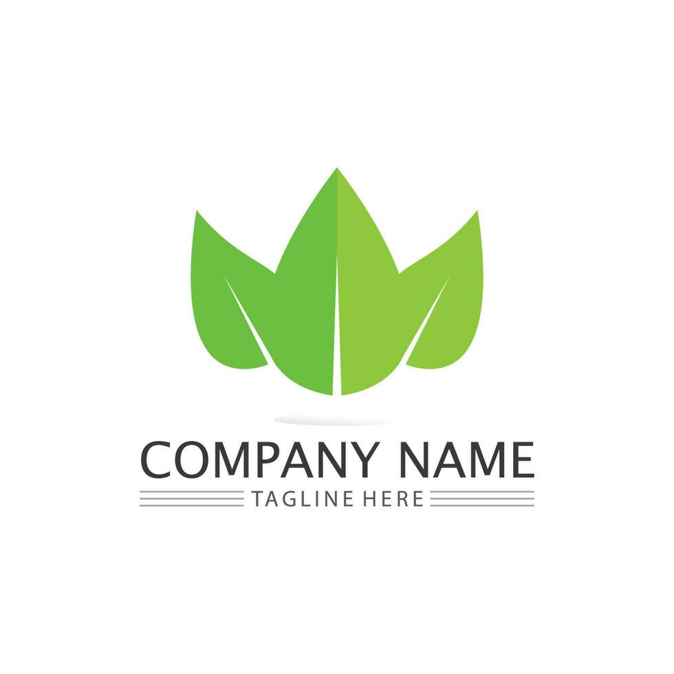 Tree leaf vector and green logo design friendly concept