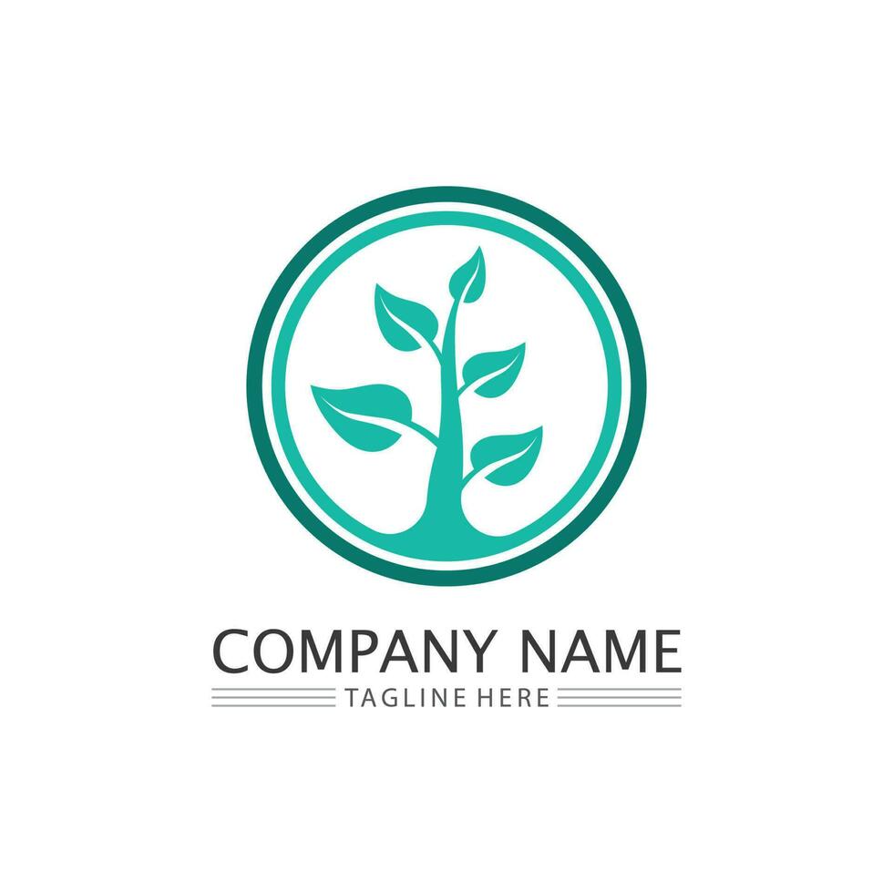 Tree leaf vector and green logo design friendly concept