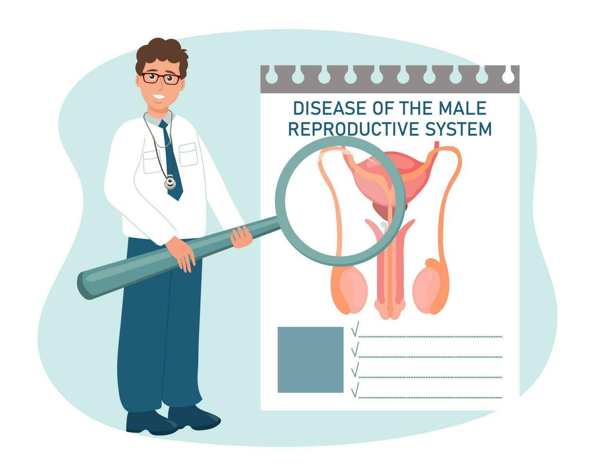 A male doctor with a magnifying glass examines the diseases of the male reproductive system. Medical healthcare concept. Vector