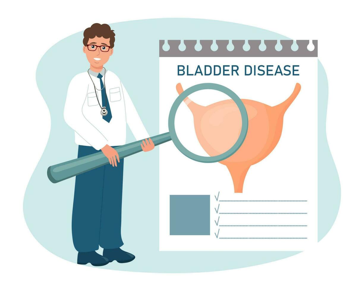 un masculino médico con un aumentador vaso examina el enfermedades de el vejiga, urinario sistema. médico cuidado de la salud concepto. vector