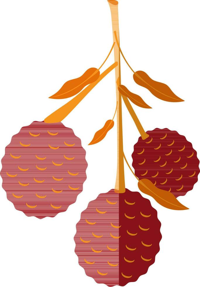 Red lychees with orange leaves. vector