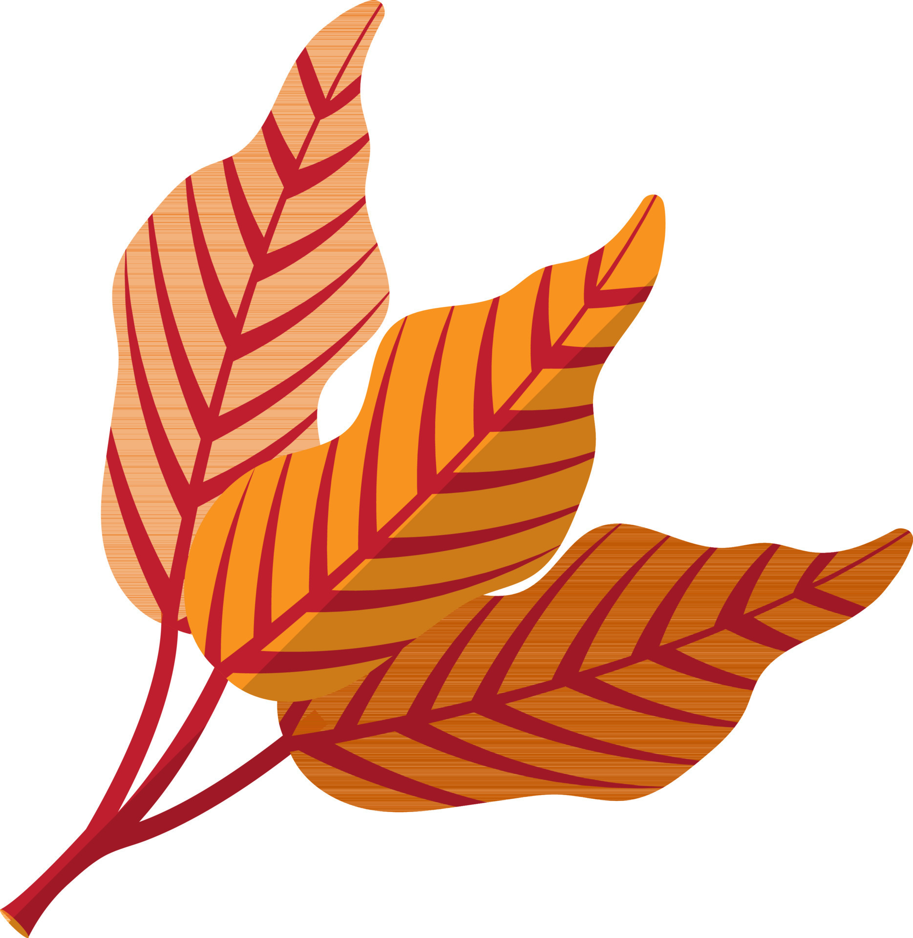 Flat style leaves in orange color. 24371179 Vector Art at Vecteezy