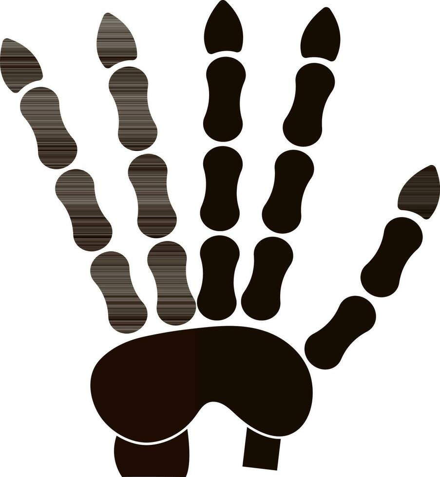 Brown hand bones. vector