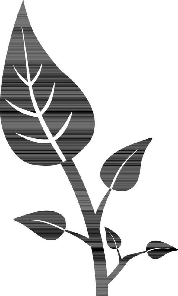 Black leaves design. vector