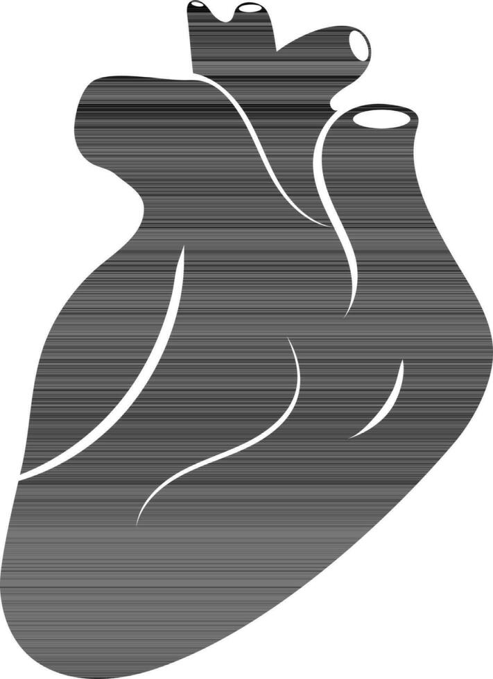 Human heart icon in black and white. vector