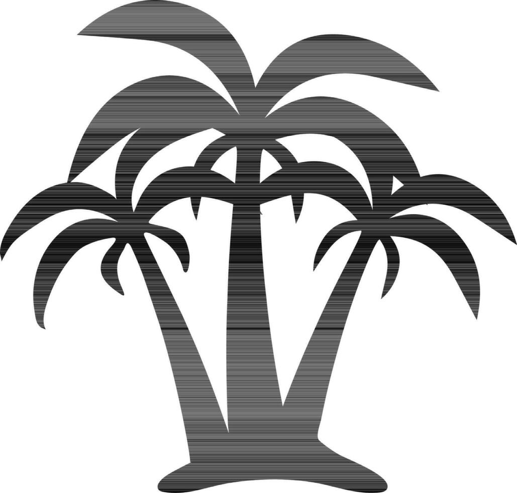 Tropical palm tree isolated on white background. vector