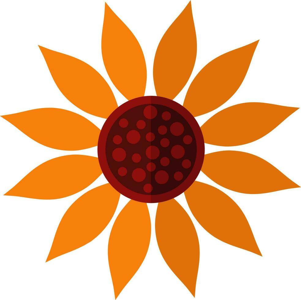 Sunflower icon in orange and brown color. vector