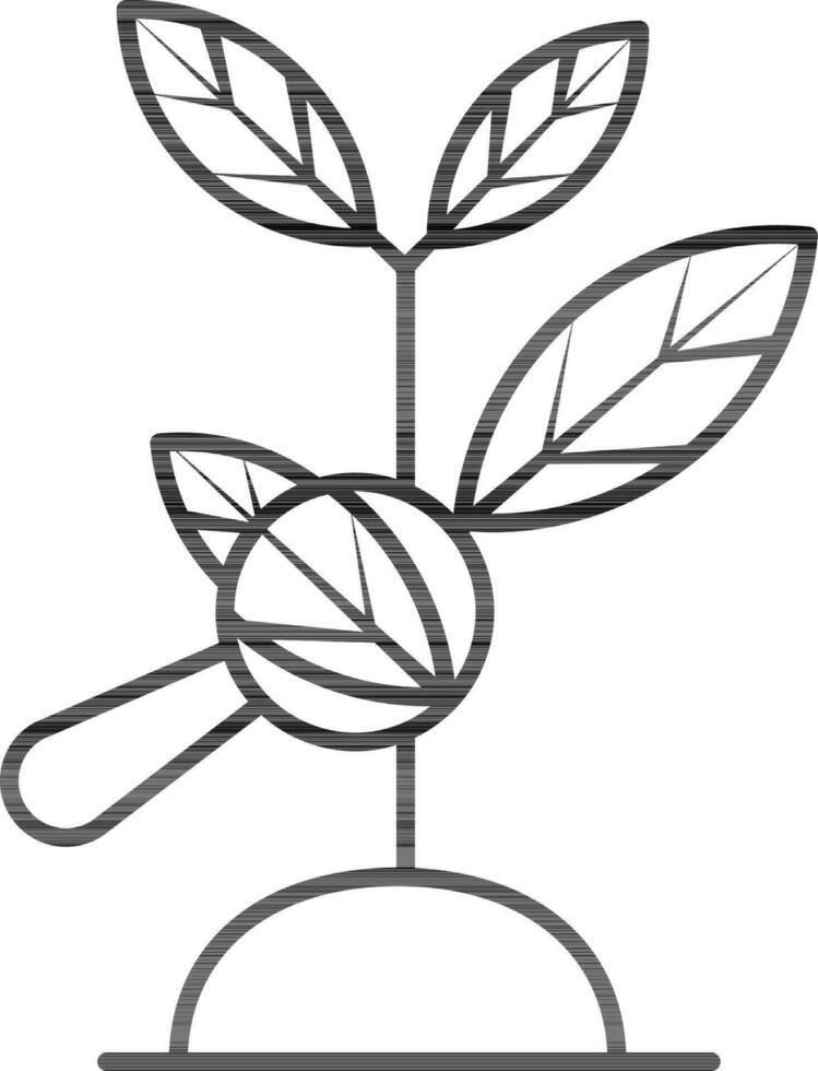 Plant search icon in black line art. vector