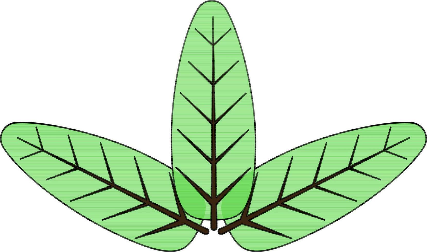 Image of three green and stroke leaf icon in illustration. vector