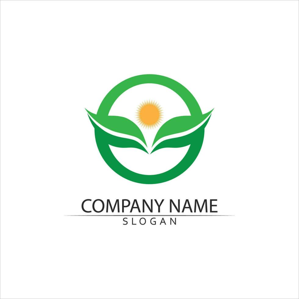 Tree leaf vector and green logo design friendly concept