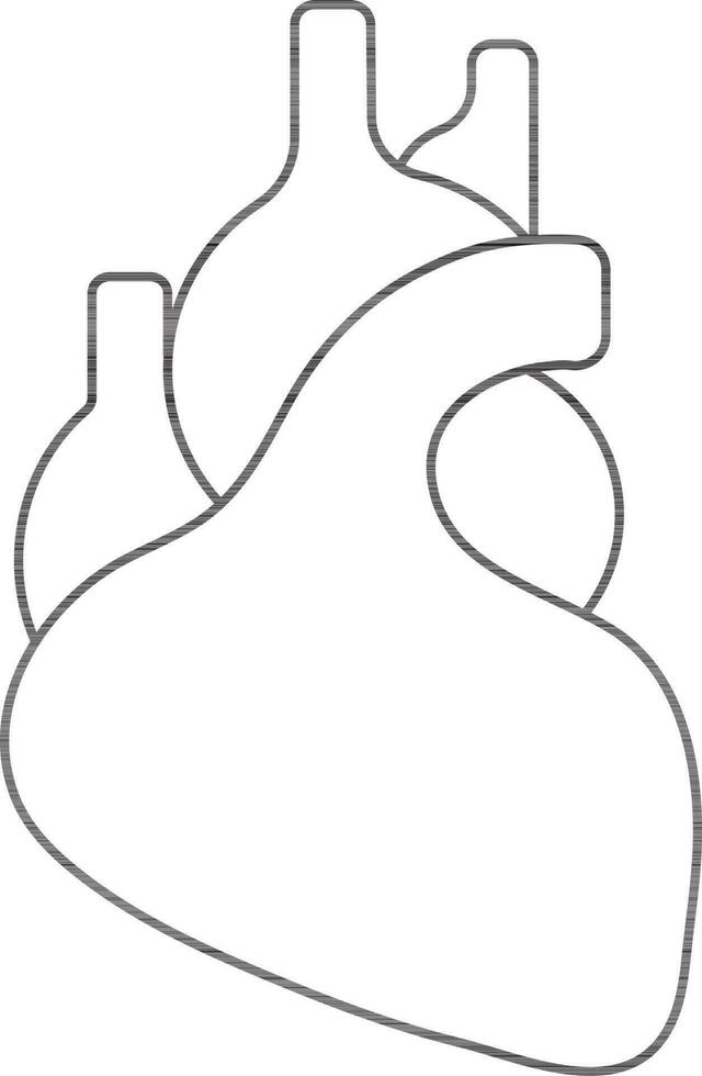 Line art human heart on white background. vector