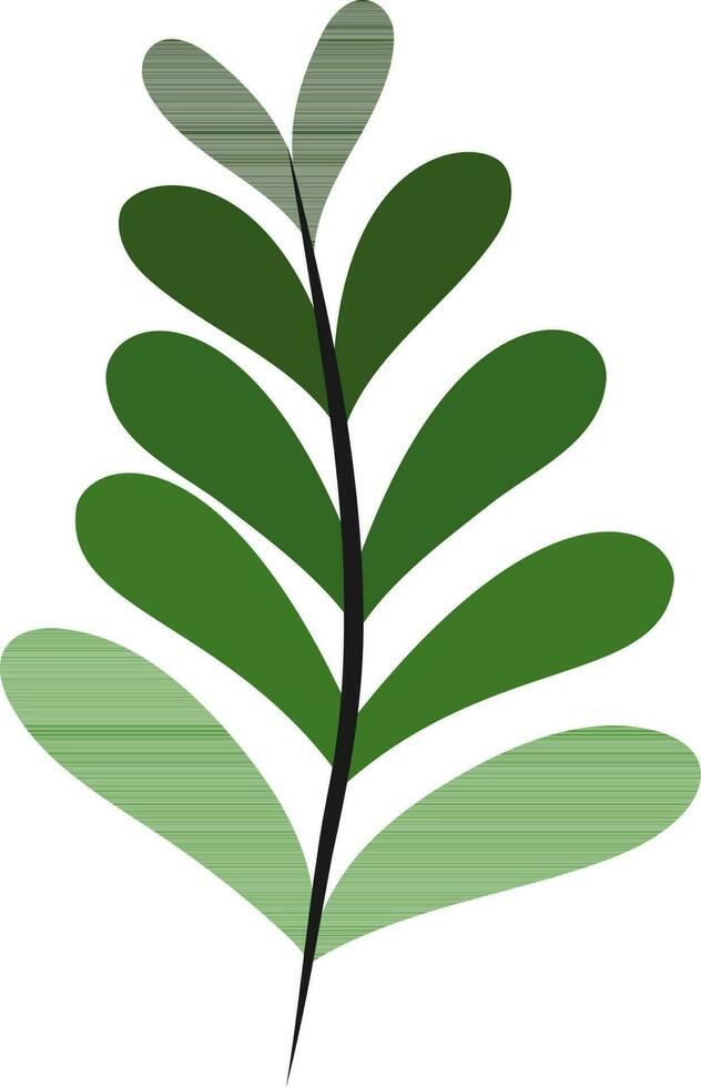 Green and black leaves . vector