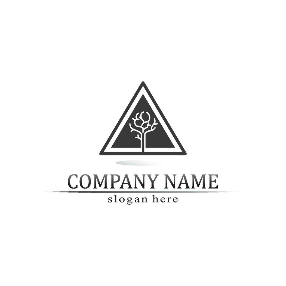 triangle pyramid logo design and vector symbol egyptian and logo business