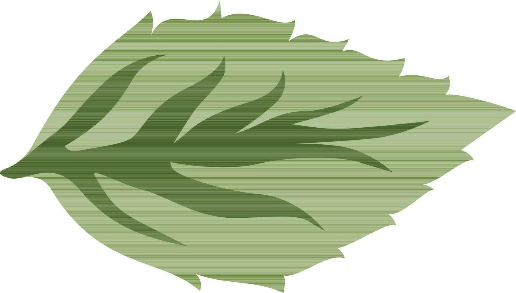 hoja verde sobre fondo blanco. vector