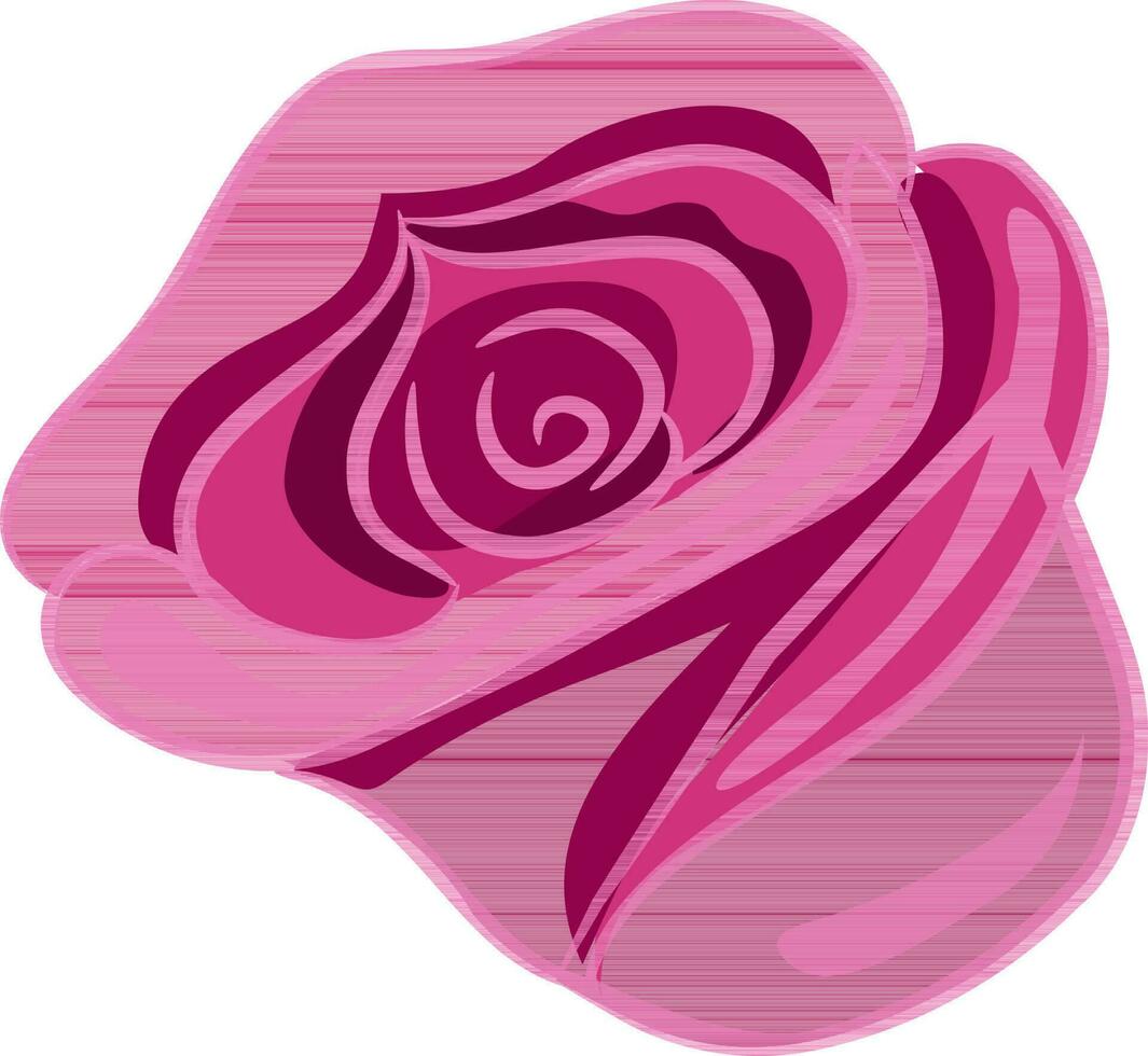 Pink rose isolated on white background. vector