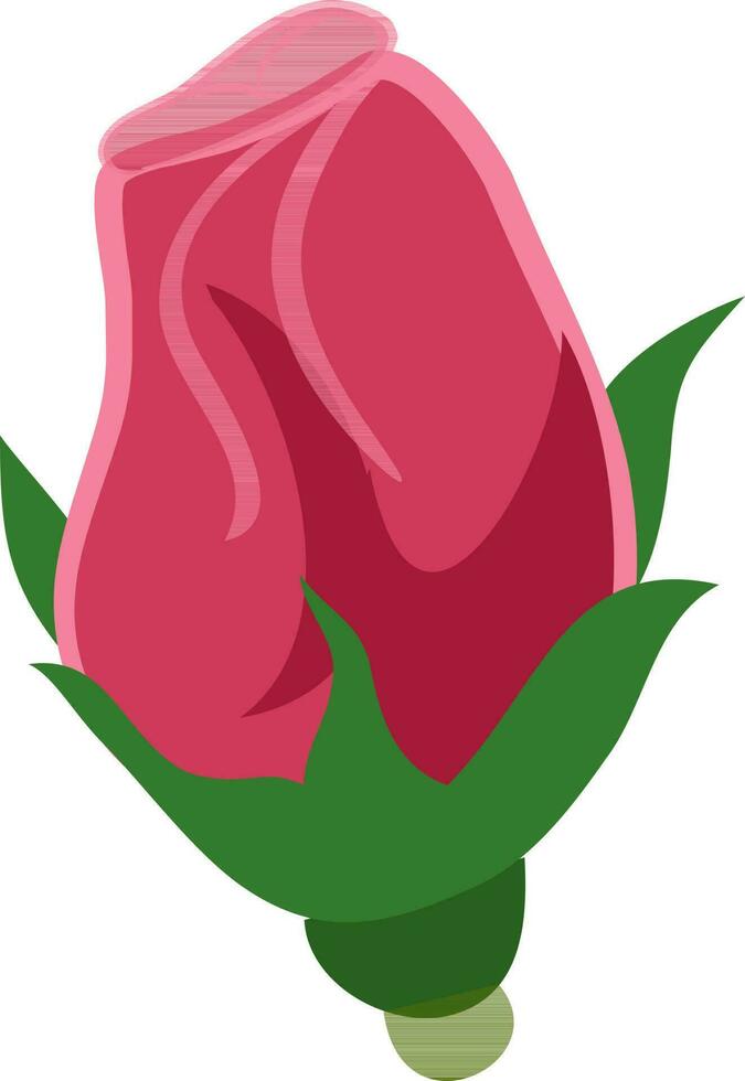 Young bud of a red rose. vector