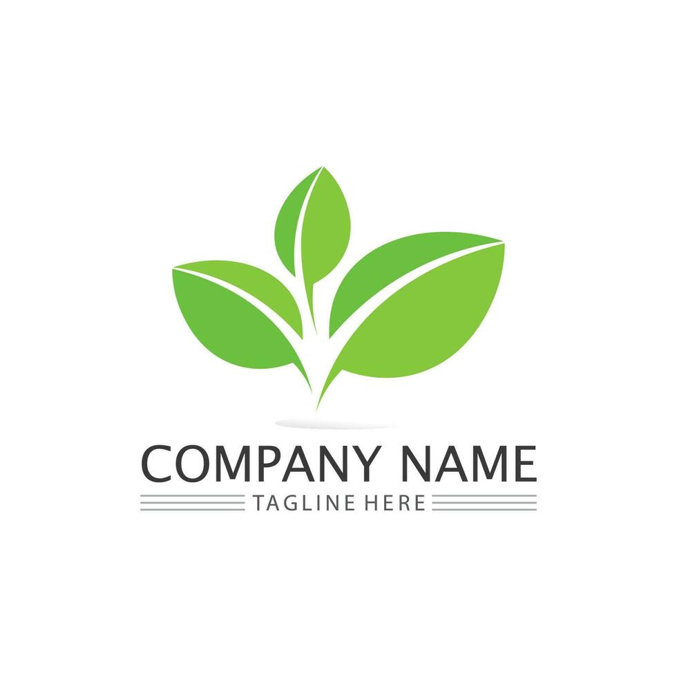 Tree leaf vector and green logo design friendly concept