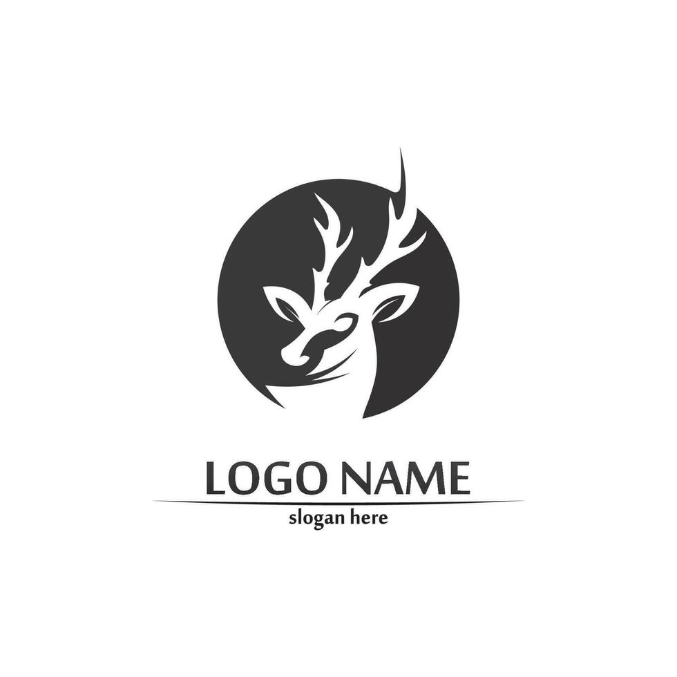 deer logo animal and mammal design and graphic vector