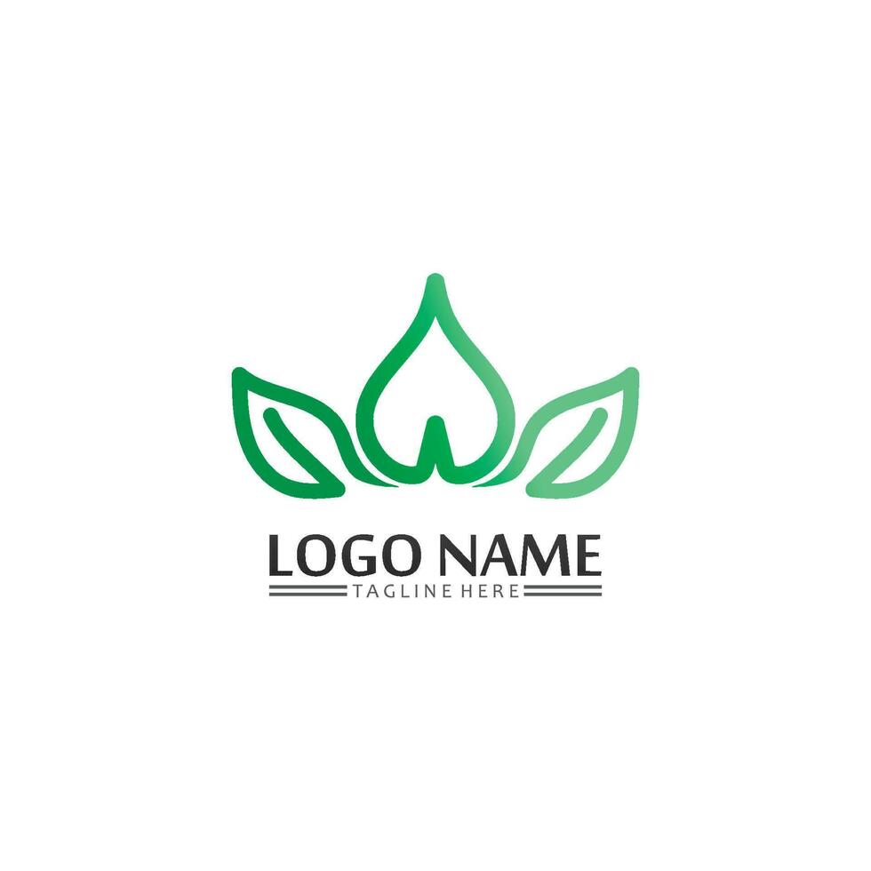 Tree leaf vector and green logo design friendly concept