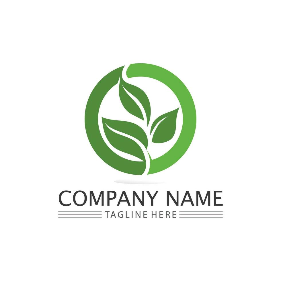 Tree leaf vector and green logo design friendly concept
