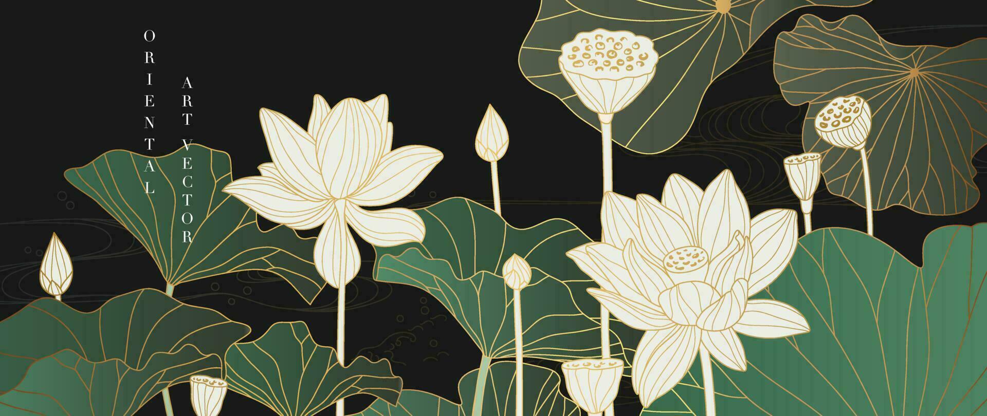 lujo oriental flor antecedentes vector. elegante blanco loto flores dorado línea arte, hojas, degradado color. japonés y chino ilustración diseño para decoración, fondo de pantalla, póster, bandera, tarjeta. vector