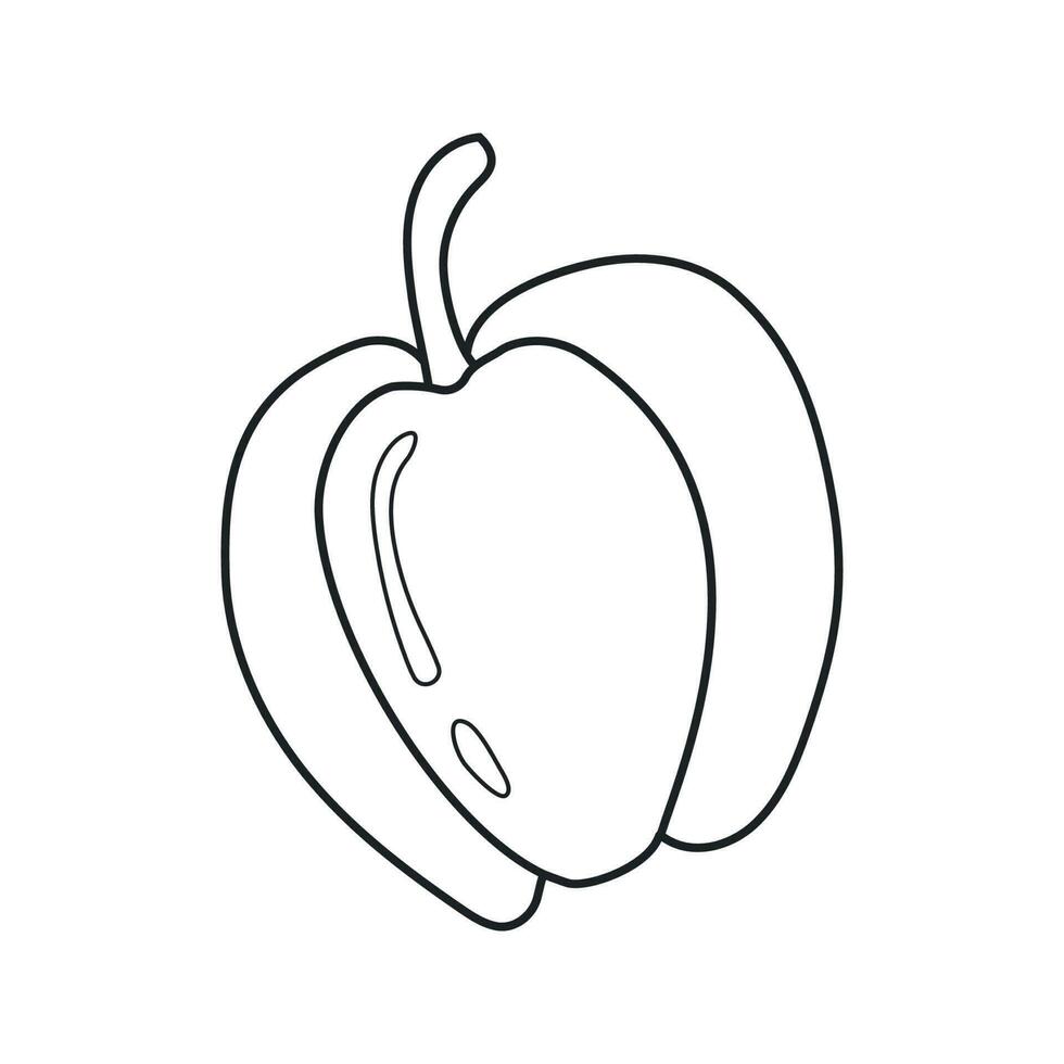 Vector illustration of bell pepper in doodle style