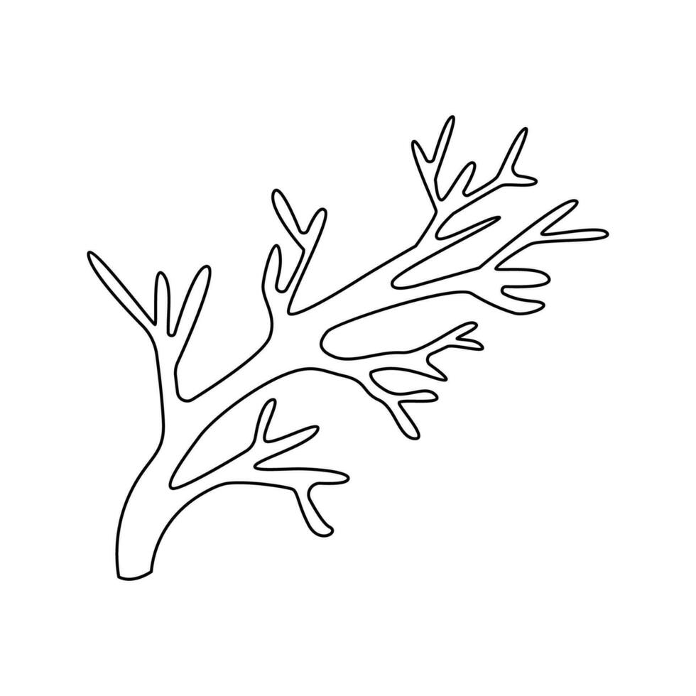 Vector illustration of corals in doodle style.