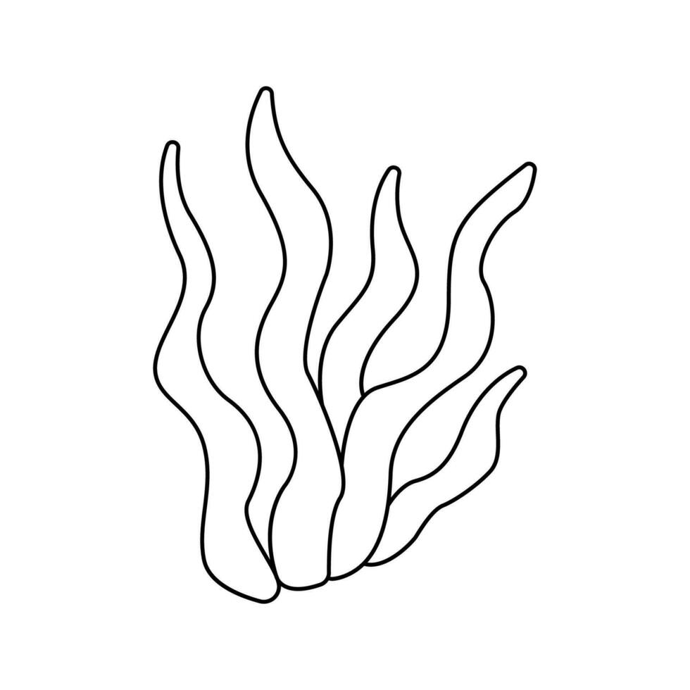 Vector illustration of Seaweed in doodle style.